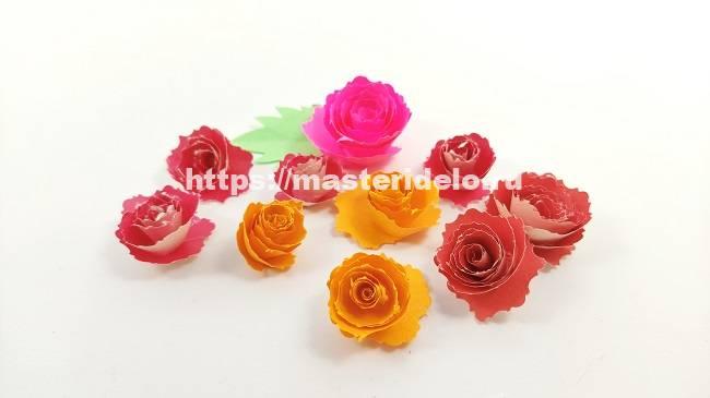 Открытка с цветами роз гофрированной бумаги своими руками